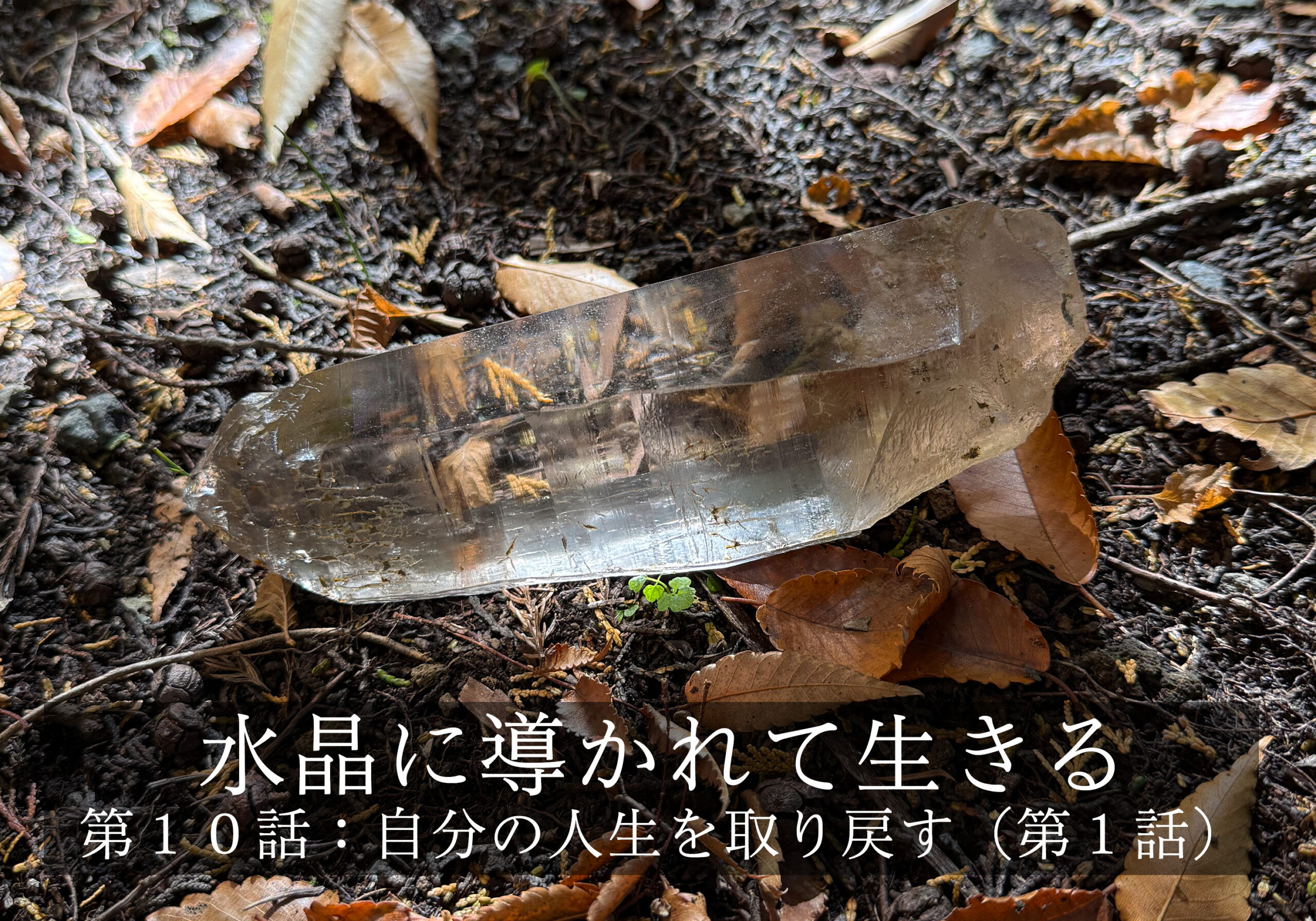 水晶に導かれて生きる〜第１０話: 自分の人生を取り戻す（第１話）