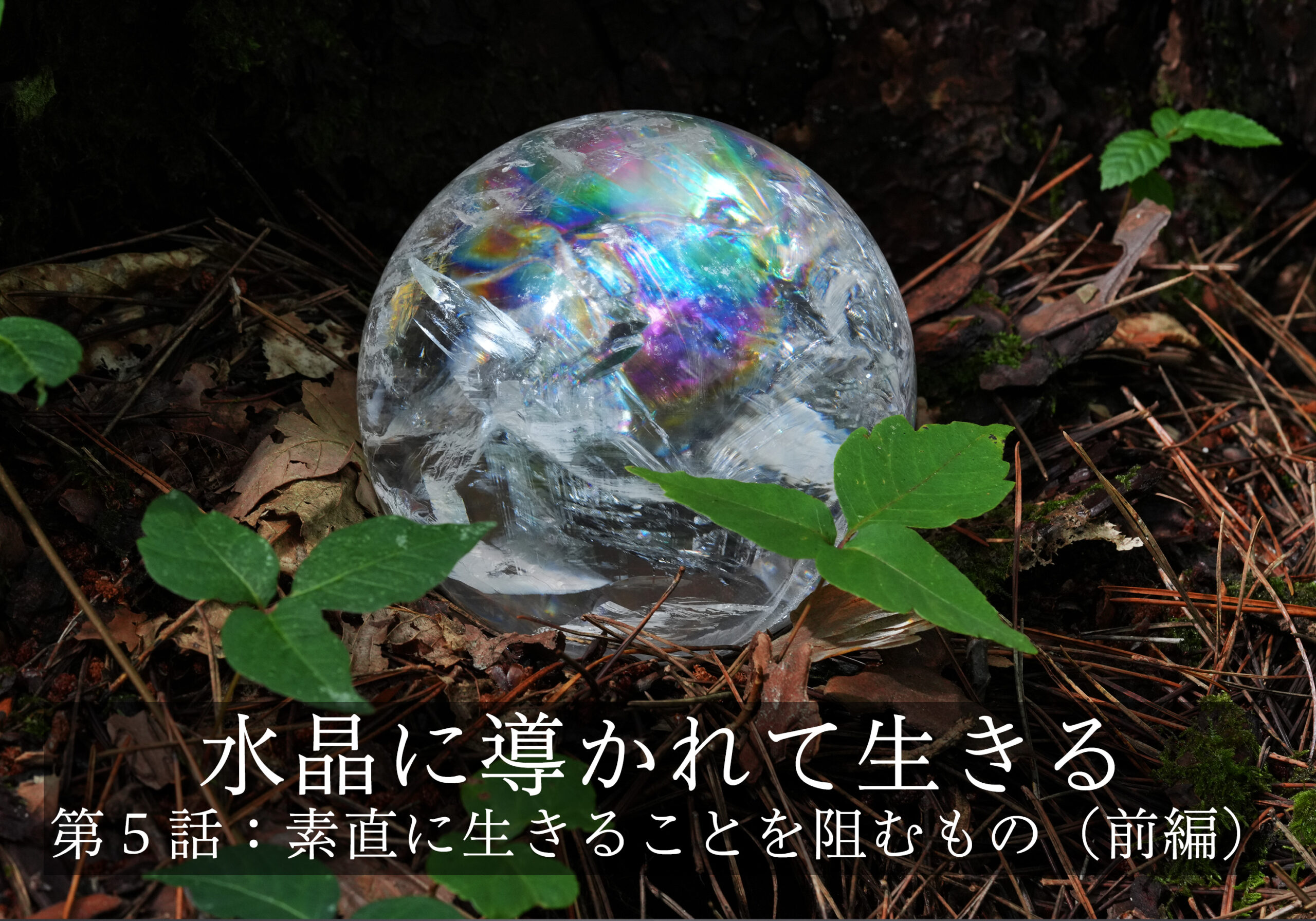 水晶に導かれて生きる〜第５話: 素直に生きることを阻むもの（前編）