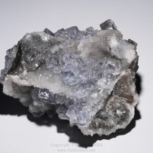 5095-1 - FieldStones