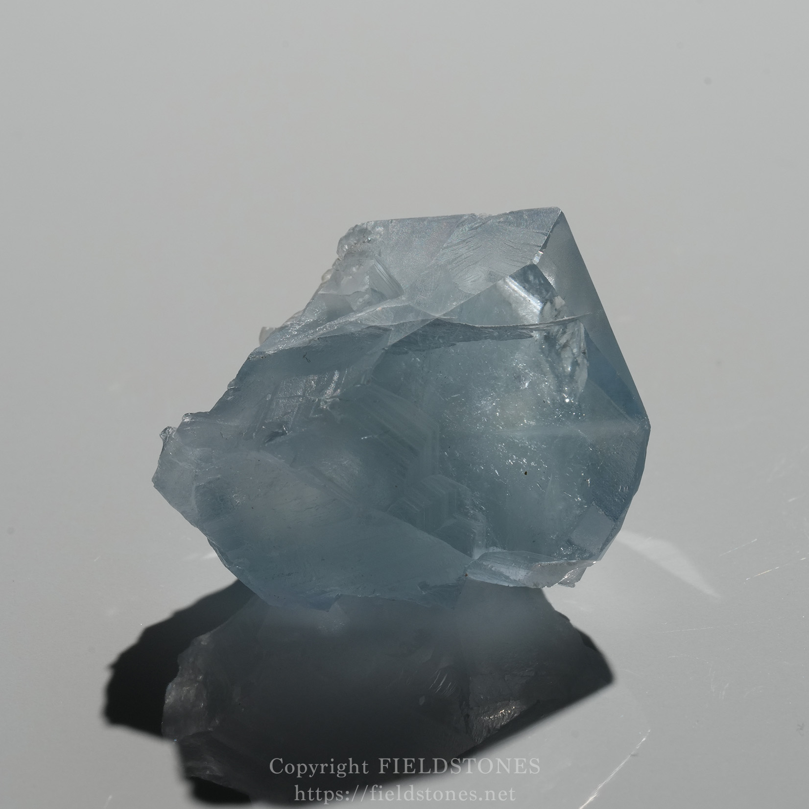 ポイント - FieldStones