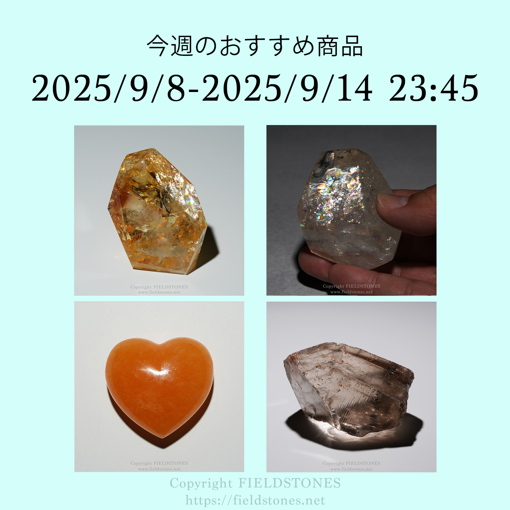 今週のおすすめ商品(2025/9/8)