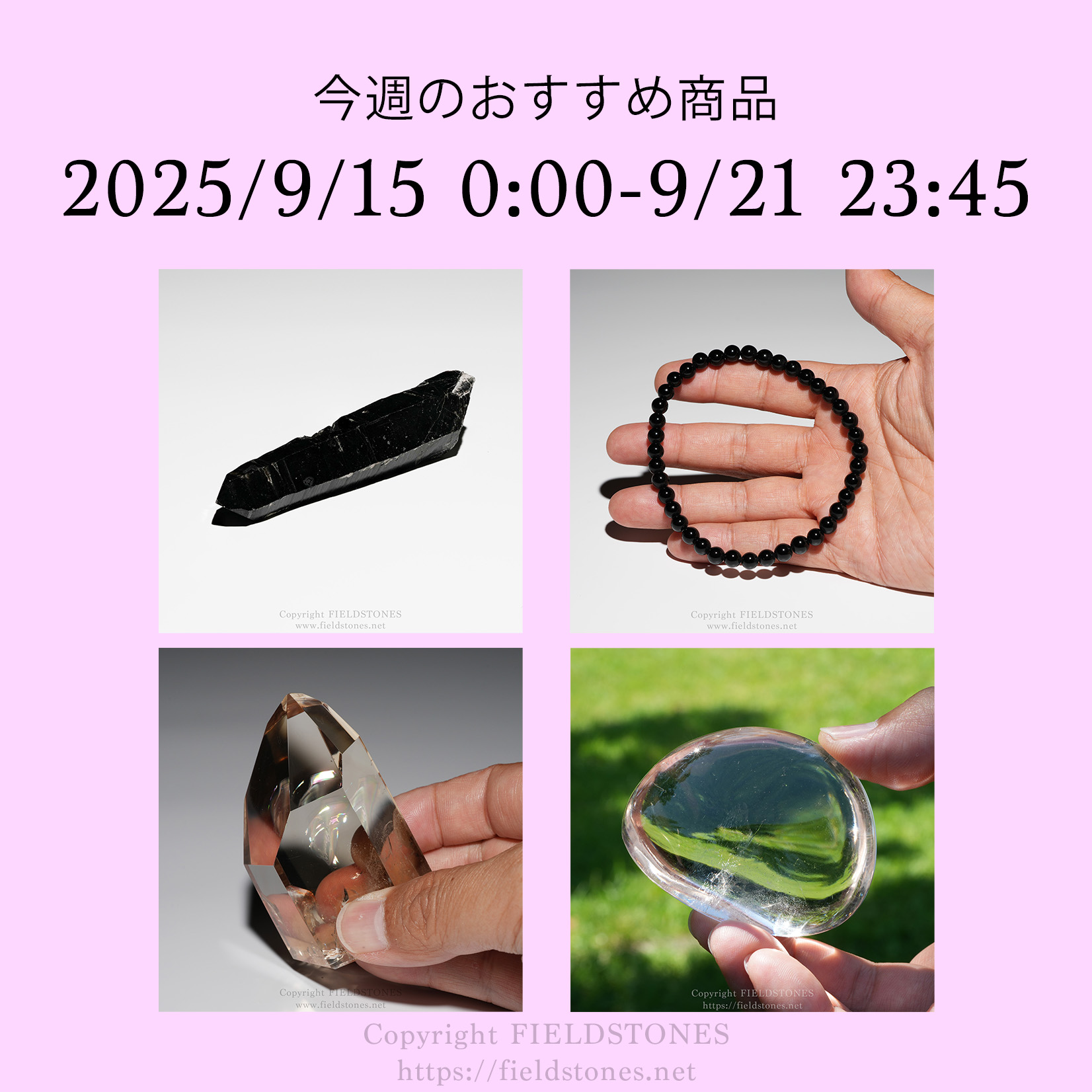 今週のおすすめ商品(2025/9/15)
