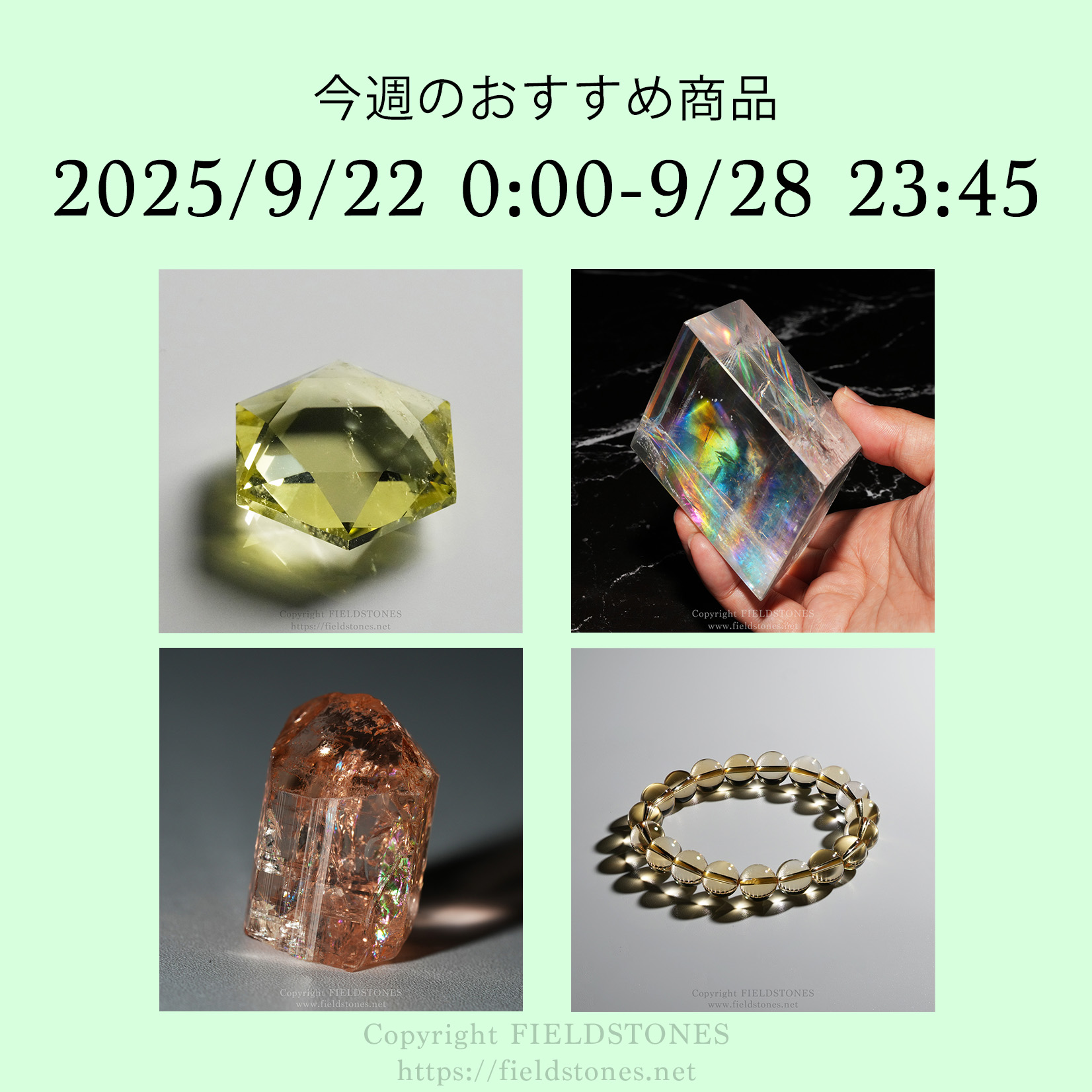 今週のおすすめ商品(2025/9/22)
