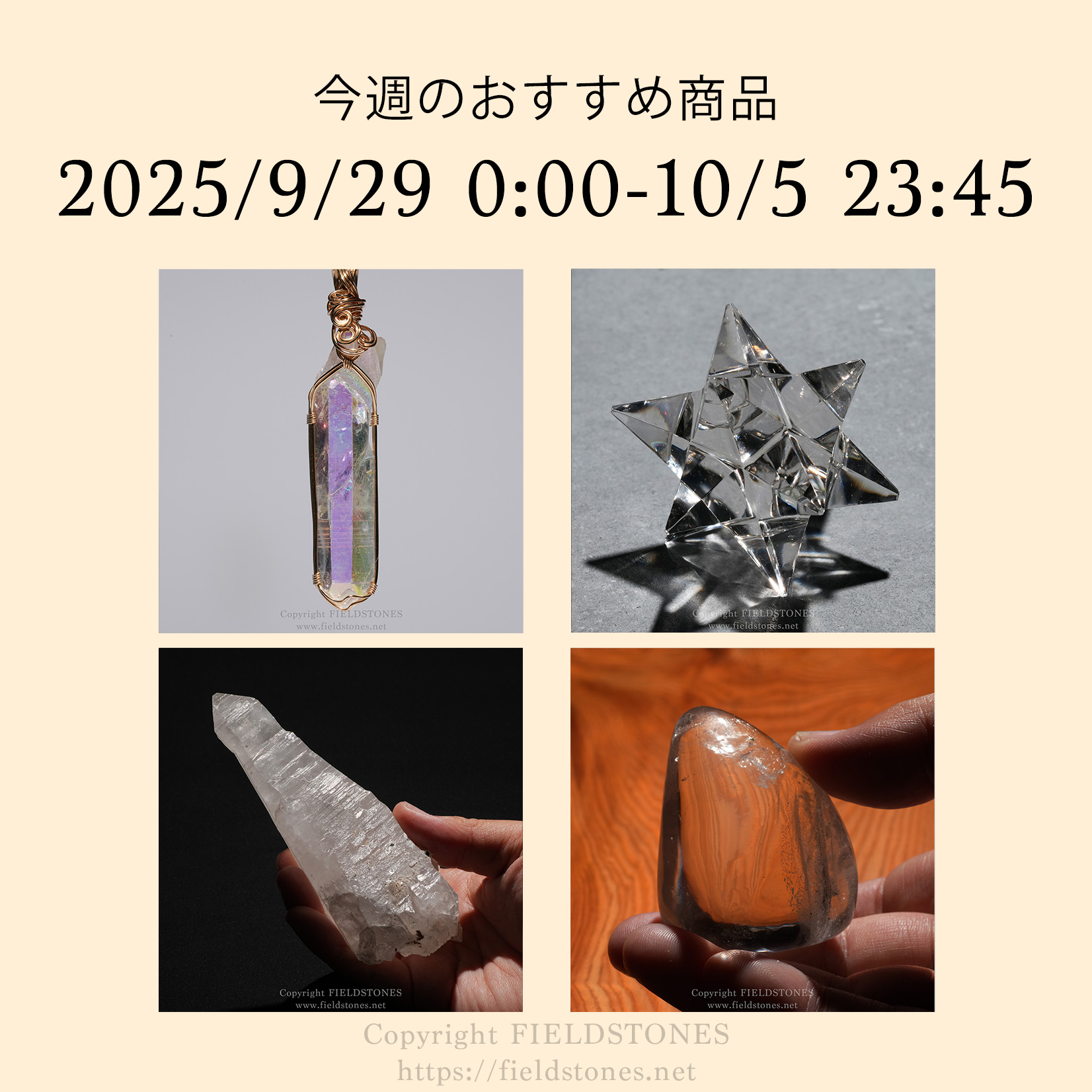 今週のおすすめ商品(2025/9/29)
