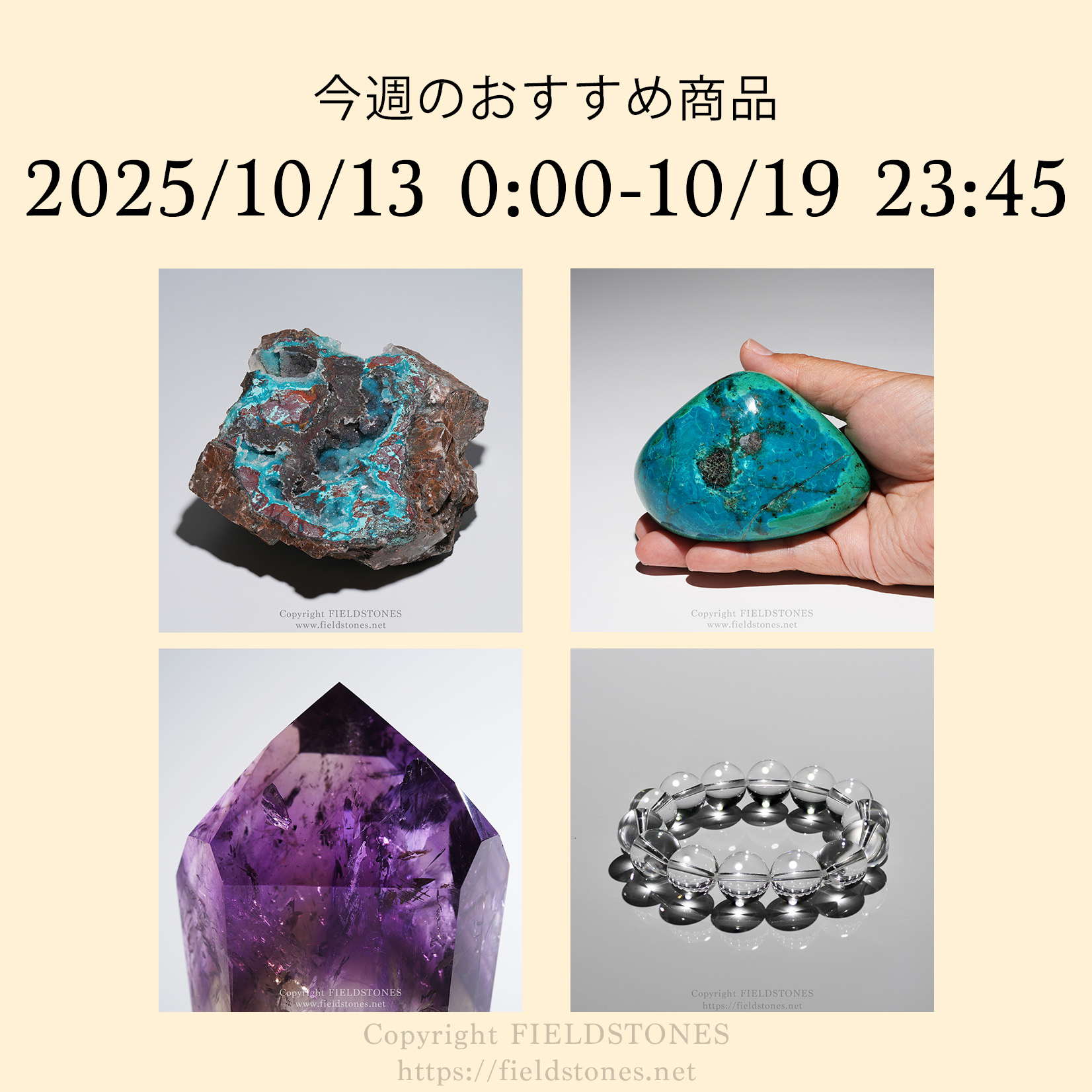 今週のおすすめ商品(2025/10/13)