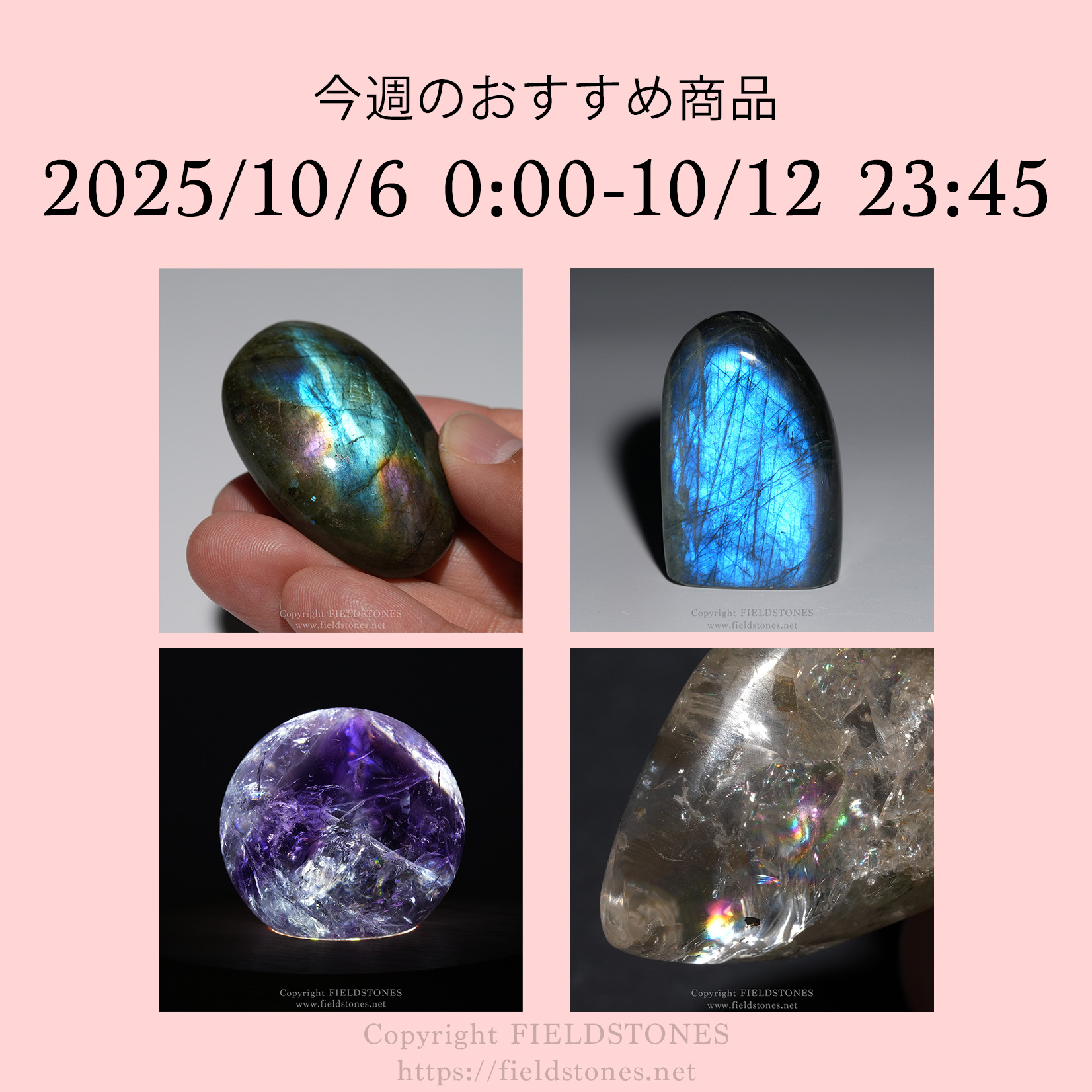 今週のおすすめ商品(2025/10/6)