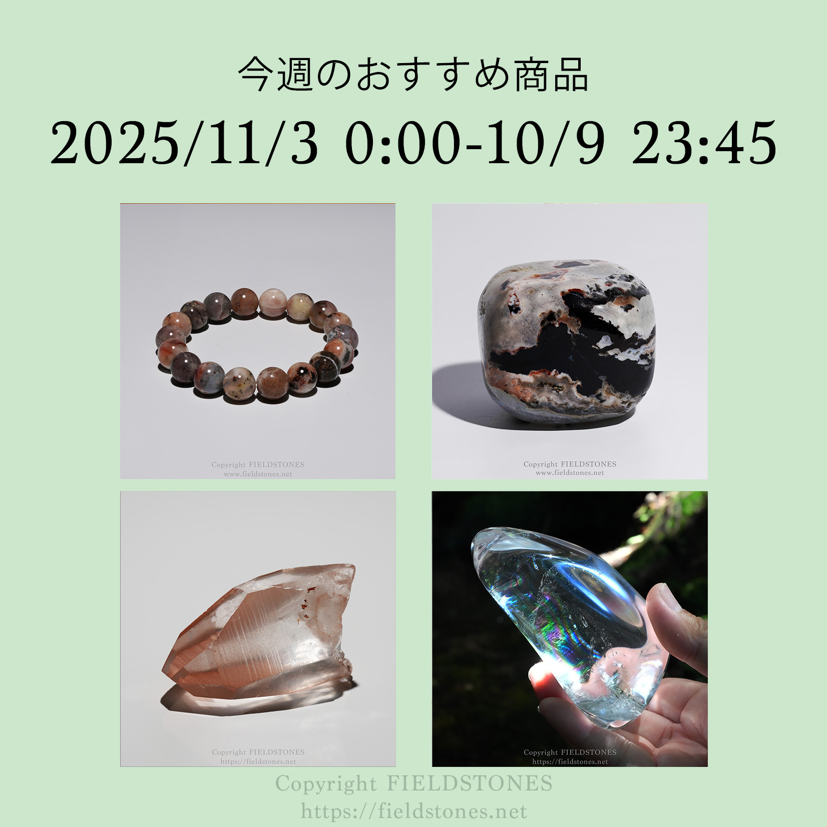 今週のおすすめ商品(2025/11/3)