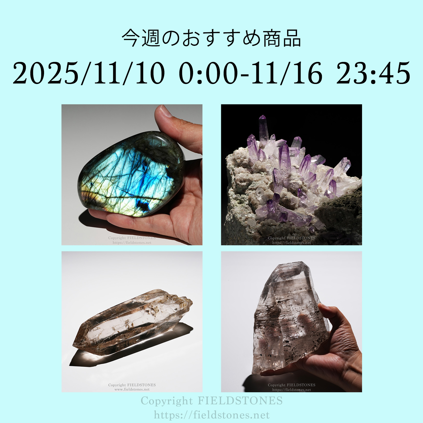 今週のおすすめ商品(2025/11/10)