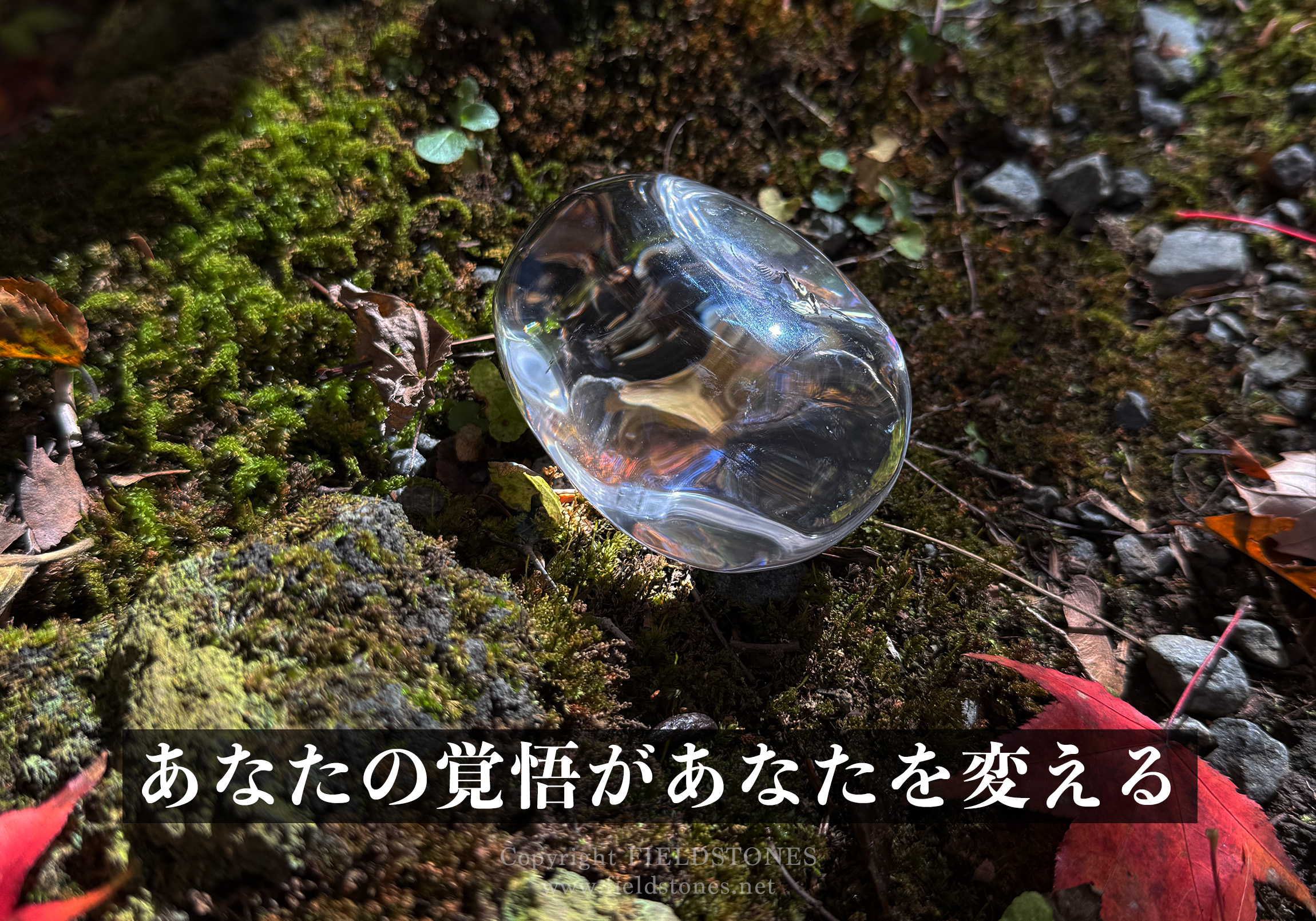 あなたの覚悟があなたを変える