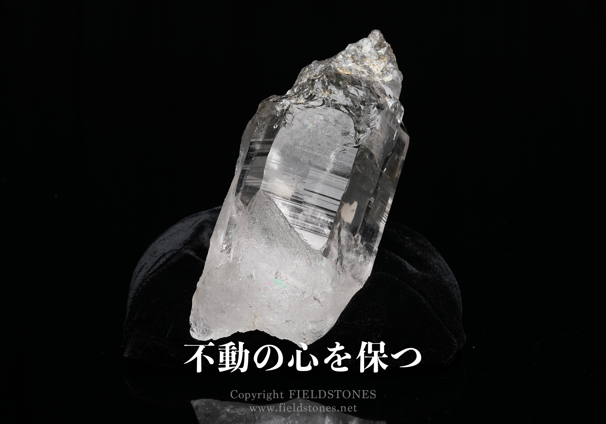 不動の心を保つ