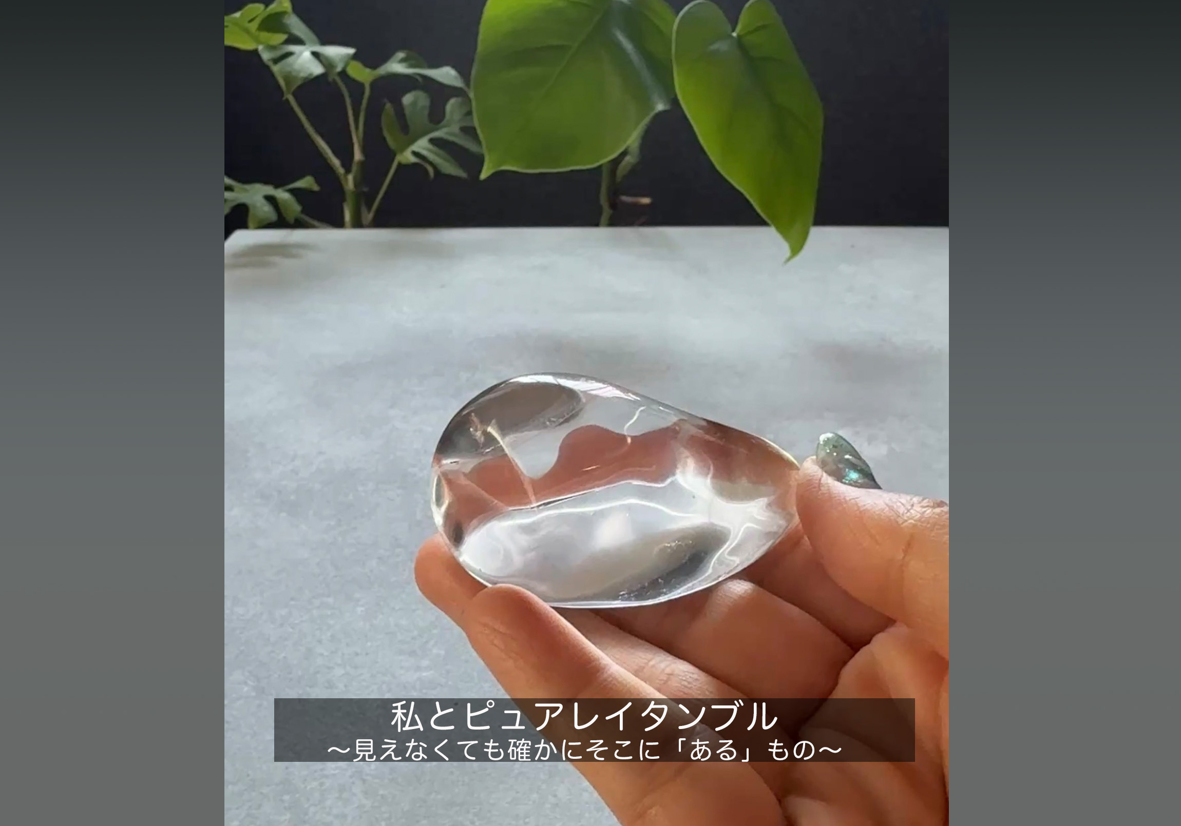 私とピュアレイタンブル